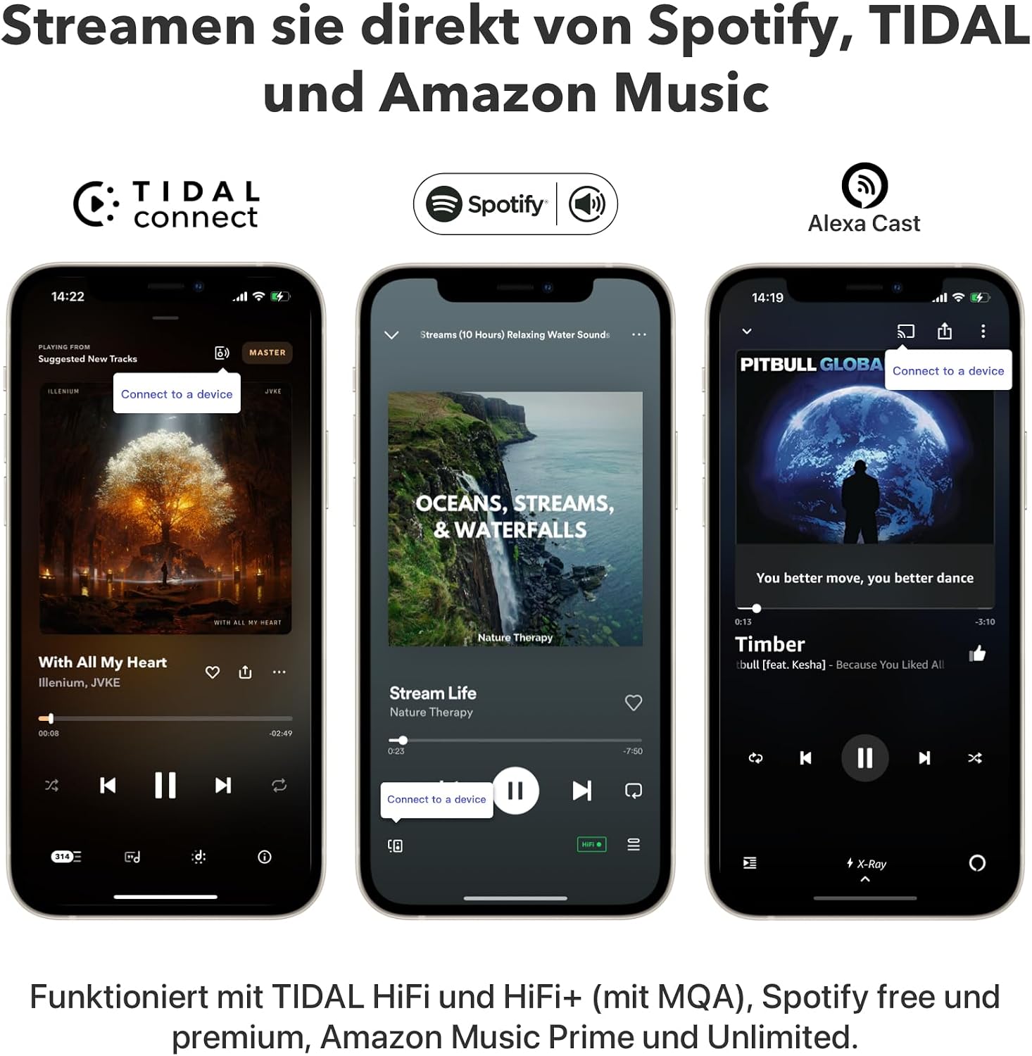 AirPlay 2 und Chromecast Audio Receiver ASR002 WLAN Hi-Res 24 Bit 192 kHz Multiroom Bluetooth Spotify Connect
