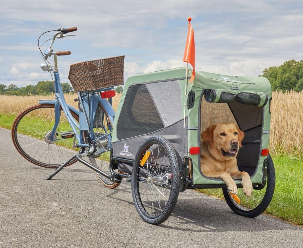 Hundeanhänger Fahrradanhänger Buggy Cruvado bis 45 kg faltbar Stahlrahmen Sicherheitsleine Reflektoren Universalkupplung