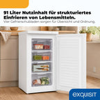 Gefrierschrank GS512-040E 91 L 4 Gefrierschubladen 4-Sterne-Gefrierbereich Energieklasse E 40 dB