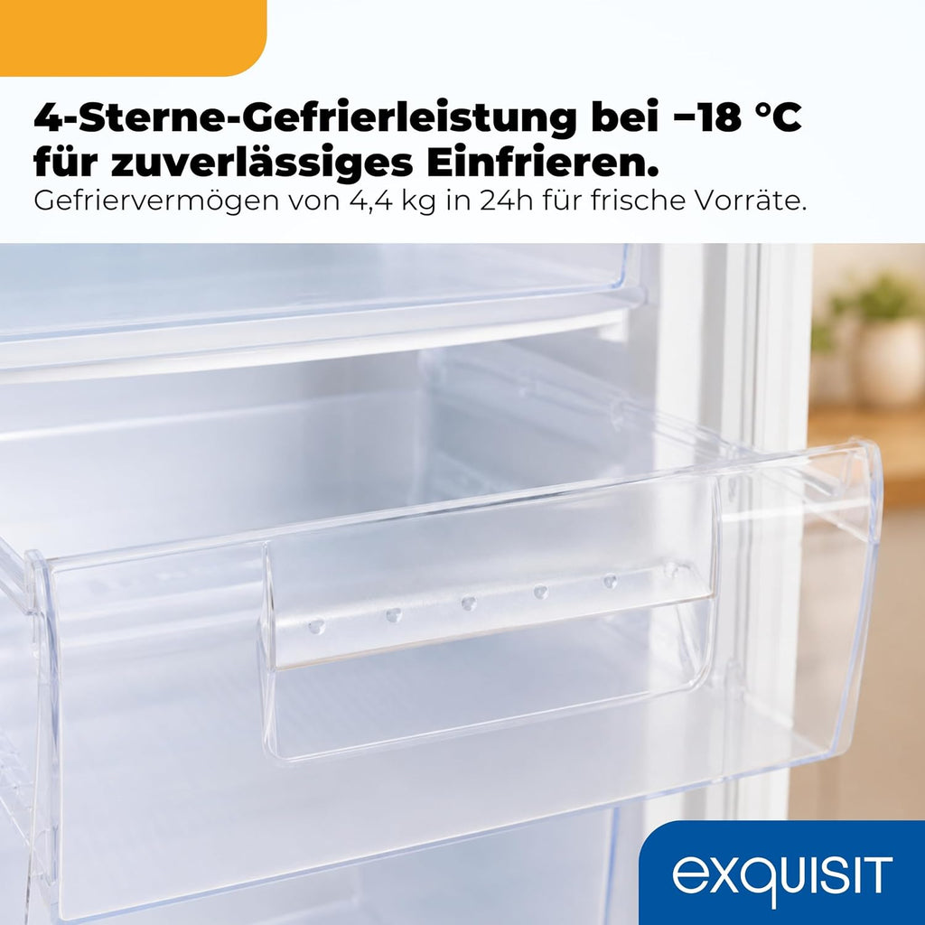 Gefrierschrank GS512-040E 91 L 4 Gefrierschubladen 4-Sterne-Gefrierbereich Energieklasse E 40 dB
