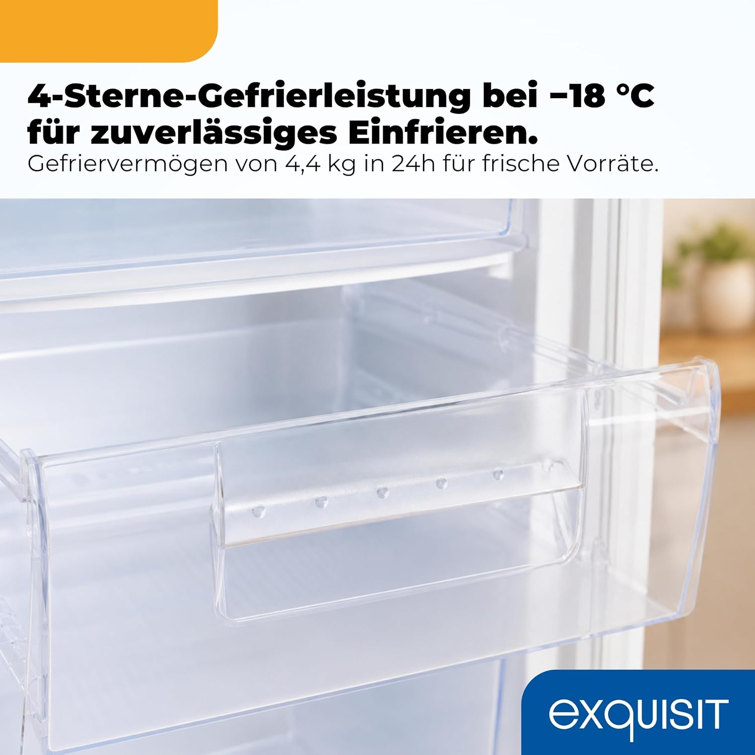 Gefrierschrank GS512-040E 91 L 4 Gefrierschubladen 4-Sterne-Gefrierbereich Energieklasse E 40 dB