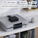 AirPlay 2 und Chromecast Audio Receiver ASR002 WLAN Hi-Res 24 Bit 192 kHz Multiroom Bluetooth Spotify Connect