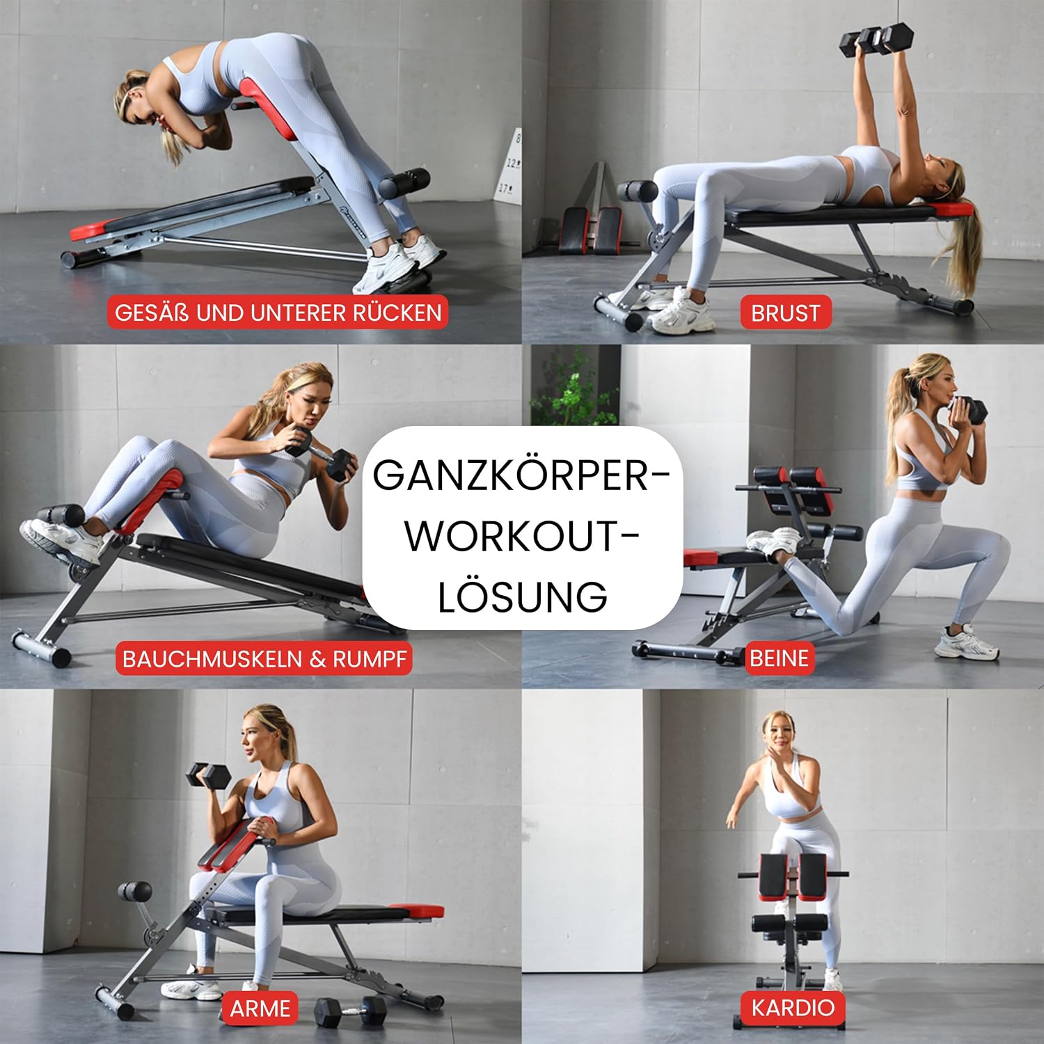 Verstellbare Hantelbank für Krafttraining Hyperextension Rückenstrecker Bauchtrainer Schrägbank Flachbank Modell FF-TB011384