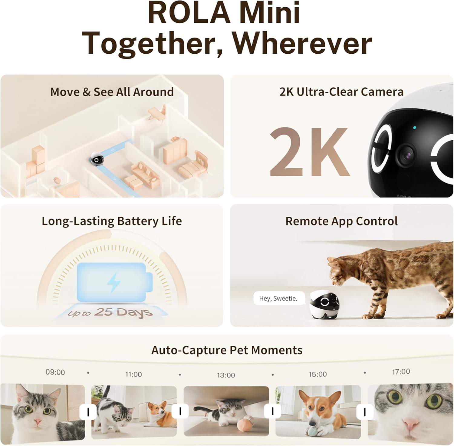 Haustierkamera Roboter ROLA Mini 2K QHD mit Nachtsicht Bewegungserkennung 25 Tage Akku automatische Aufrichtung
