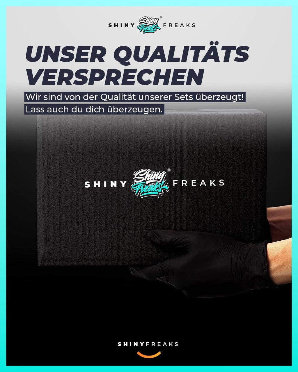 Akku Poliermaschine EVO Mini 25-teiliges Set Exzenter Rotation mit Akkus Adaptern Stütztellern Pads Zubehör