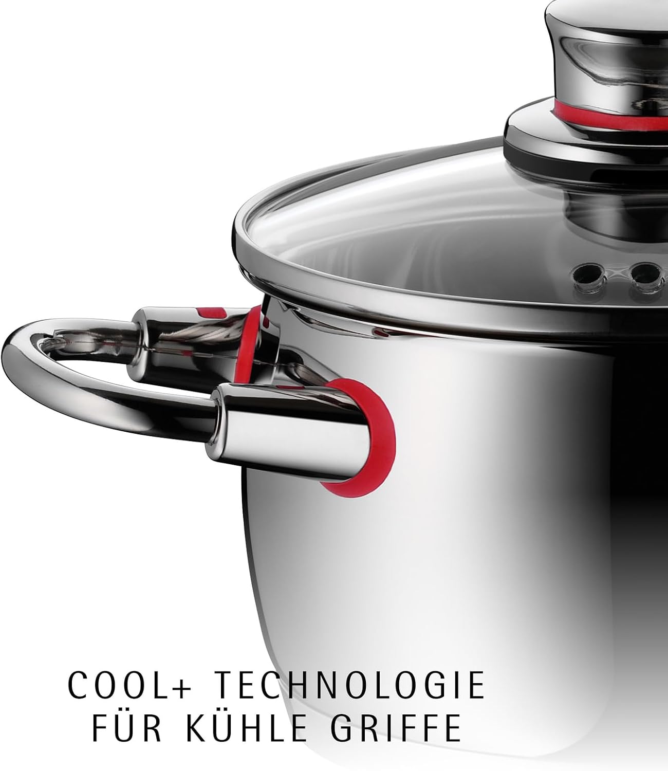 Topfset Induktion 5-teilig Quality One mit Glasdeckeln Edelstahl unbeschichtet für alle Herdarten Modell 774056380