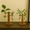 Glasvasen mit Holzhalter – Hydroponische Zimmerpflanzenvase für Stecklinge, transparent, 3er Set