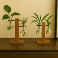 Glasvasen mit Holzhalter – Hydroponische Zimmerpflanzenvase für Stecklinge, transparent, 3er Set