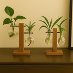 Glasvasen mit Holzhalter – Hydroponische Zimmerpflanzenvase für Stecklinge, transparent, 3er Set