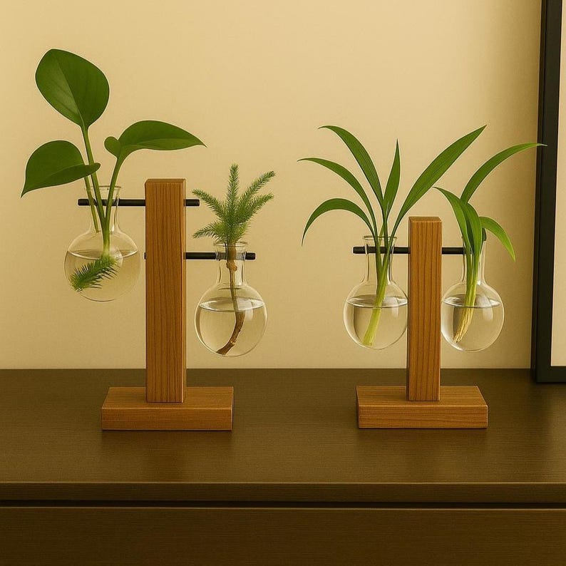 Glasvasen mit Holzhalter – Hydroponische Zimmerpflanzenvase für Stecklinge, transparent, 3er Set