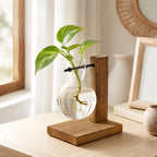 Anzuchtvase Holz Glas Hydrokultur Stecklingsvase Pflanzenhalter Boho Deko