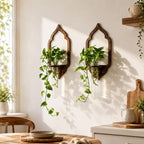 Wandmontage Anzuchtstation aus Holz mit Glasrohr, Pflanzenhalter für Hydrokultur