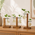 Anzuchtvase Holz Glas Hydrokultur Stecklingsvase Pflanzenhalter Boho Deko