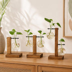 Anzuchtvase Holz Glas Hydrokultur Stecklingsvase Pflanzenhalter Boho Deko