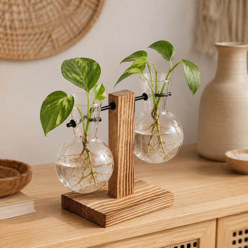 Anzuchtvase Holz Glas Hydrokultur Stecklingsvase Pflanzenhalter Boho Deko