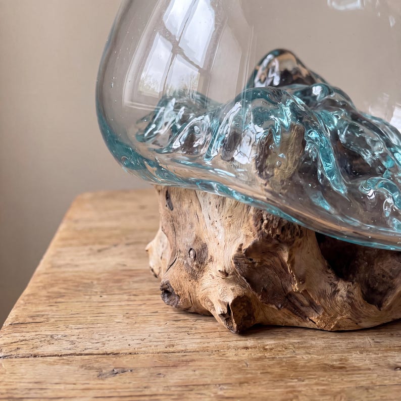 Geschmolzene Glasvase auf natürlichem Treibholzständer, mundgeblasener Glasterrarium-Übertopf, Boho-Küstendekoration, rustikales Waldheimdekor
